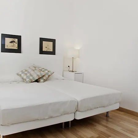Flateli Roger 1 * Barselona